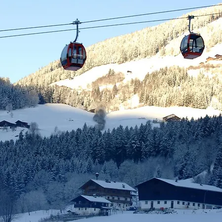 Peilberghof Apartament Hollersbach im Pinzgau